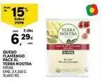Continente Bom dia Terra nostra - queijo flamengo promoção