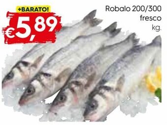 Bolama Robalo 200/300 Fresco promoção