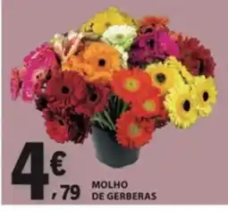 E.Leclerc molho de gerberas promoção