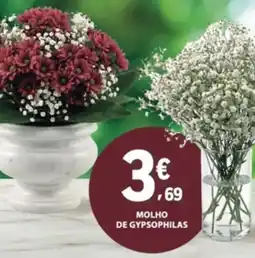 E.Leclerc Molho de gypsophilas promoção