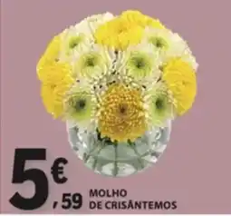E.Leclerc molho de crisântemos promoção