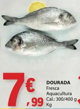 E.Leclerc Dourada fresca aquacultura promoção