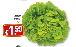 Bolama Alface frisada promoção
