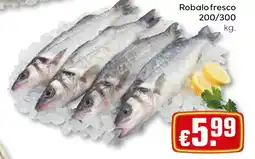 Bolama Robalo fresco promoção