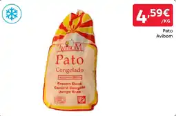 Amanhecer Pato Avibom promoção