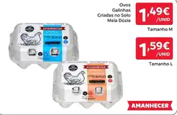 Amanhecer ovos de galinhas criadas no solo promoção