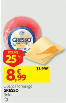 Auchan Queijo Flamengo GRESSO promoção