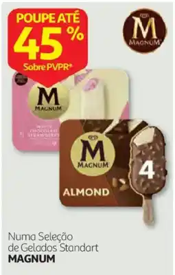 Auchan Numa Seleção de Gelados Standart Magnum promoção