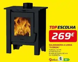 Bricomarché A+ - salamandra a lenha promoção