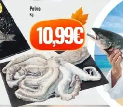 Belita Polvo promoção