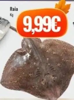 Belita Raia promoção