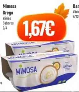 Belita Mimosa Grego promoção