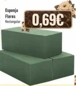 Belita Esponja Flores Rectangular promoção