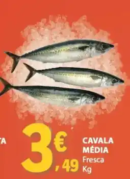 E.Leclerc Cavala média promoção
