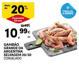Continente Gambão grande da argentina selvagem 20/30 promoção