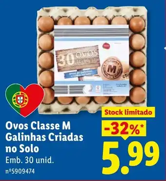 Ovos Classe M Galinhas Criadas no Solo