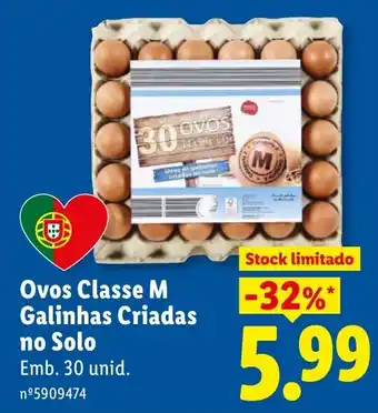 Ovos Classe M