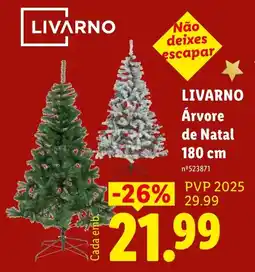 Lidl Livarno Árvore de Natal promoção