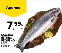 Continente Salmão inteiro pequeno promoção