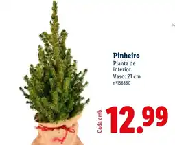 Lidl Pinheiro promoção
