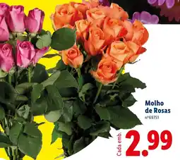 Lidl Molho de Rosas promoção