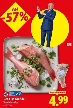 Lidl Red Fish Grande promoção