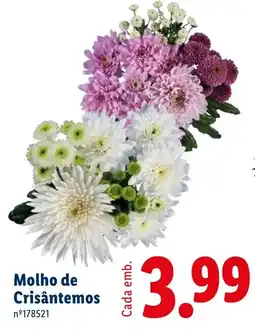 Lidl Molho de Crisântemos promoção