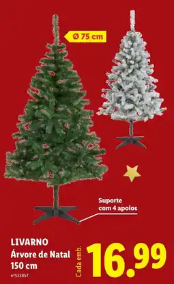 Lidl Árvore de Natal livarño promoção
