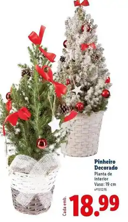 Lidl Planta - pinheiro decorado promoção
