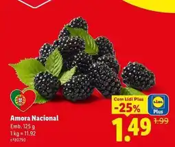 Lidl Nacional - amora promoção
