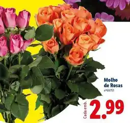 Lidl Molho de rosas promoção