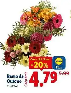 Lidl Lidl - ramo de outono promoção