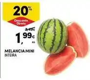 Continente Bom dia Mini - melancia inteira promoção