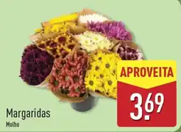 ALDI Margaridas Molho promoção