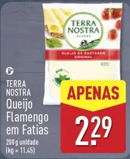 ALDI Terra nostra queijo flamengo em fatias promoção