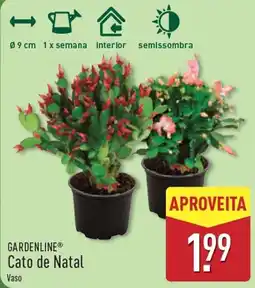ALDI Cato de Natal promoção