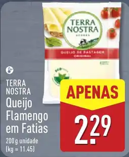 ALDI Terra nostra queijo flamengo em fatias promoção