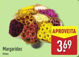 ALDI Margaridas Molho promoção