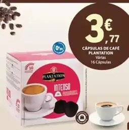 E.Leclerc Cápsulas de café plantation intenso promoção