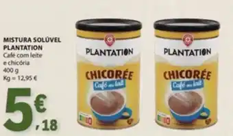 Plantation chicorée café au lait