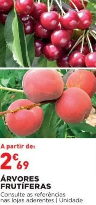 Bricomarché Árvores Frutíferas promoção