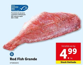 Lidl Red Fish Grande promoção