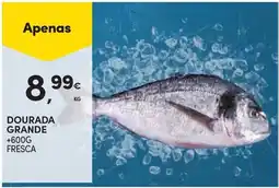 Continente Dourada grande promoção