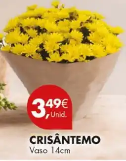Pingo Doce Crisântemo promoção