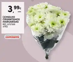 Continente Molho crisântemos margaridas promoção