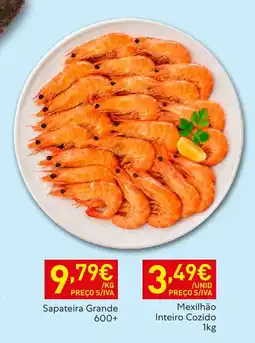 Recheio Sapateira Grande promoção