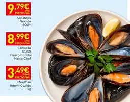 Recheio Sapateira Grande promoção