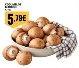 Neomáquina Cogumelos marron promoção