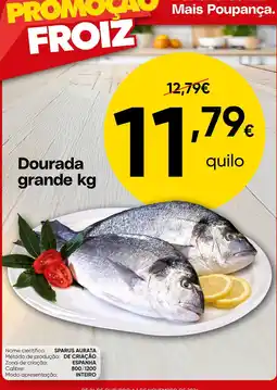 Froiz Dourada grande kg promoção