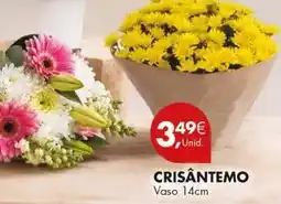 Pingo Doce Crisantemo promoção